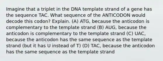 Imagine that a triplet in the DNA template strand of a gene has the sequence TAC. What sequence of the ANTICODON would decode this codon? Explain. (A) ATG, because the anticodon is complementary to the template strand (B) AUG, because the anticodon is complementary to the template strand (C) UAC, because the anticodon has the same sequence as the template strand (but it has U instead of T) (D) TAC, because the anticodon has the same sequence as the template strand