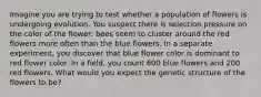 Imagine you are trying to test whether a population of flowers is undergoing evolution. You suspect there is selection pressure on the color of the flower: bees seem to cluster around the red flowers more often than the blue flowers. In a separate experiment, you discover that blue flower color is dominant to red flower color. In a field, you count 600 blue flowers and 200 red flowers. What would you expect the genetic structure of the flowers to be?