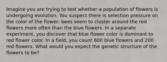 Imagine you are trying to test whether a population of flowers is undergoing evolution. You suspect there is selection pressure on the color of the flower: bees seem to cluster around the red flowers more often than the blue flowers. In a separate experiment, you discover that blue flower color is dominant to red flower color. In a field, you count 600 blue flowers and 200 red flowers. What would you expect the genetic structure of the flowers to be?