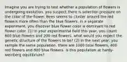 Imagine you are trying to test whether a population of flowers is undergoing evolution. you suspect there is selection pressure on the color of the flower. Bees seems to cluster around the red flowers more often than the blue flowers. in a separate experiment, you discover blue flower color is dominant to red flower color. (1) in your experimental field this year, you count 600 blue flowers and 200 red flowers. what would you expect the genetic structure of the flowers to be? (2) in the next year, you sample the same population. there are 1000 total flowers, 400 red flowers and 600 blue flowers. is this population at hardy-weinberg equilibrium?