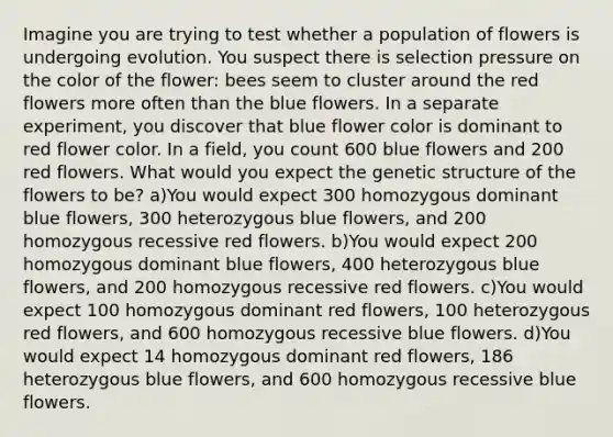 Imagine you are trying to test whether a population of flowers is undergoing evolution. You suspect there is selection pressure on the color of the flower: bees seem to cluster around the red flowers more often than the blue flowers. In a separate experiment, you discover that blue flower color is dominant to red flower color. In a field, you count 600 blue flowers and 200 red flowers. What would you expect the genetic structure of the flowers to be? a)You would expect 300 homozygous dominant blue flowers, 300 heterozygous blue flowers, and 200 homozygous recessive red flowers. b)You would expect 200 homozygous dominant blue flowers, 400 heterozygous blue flowers, and 200 homozygous recessive red flowers. c)You would expect 100 homozygous dominant red flowers, 100 heterozygous red flowers, and 600 homozygous recessive blue flowers. d)You would expect 14 homozygous dominant red flowers, 186 heterozygous blue flowers, and 600 homozygous recessive blue flowers.