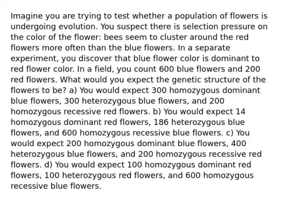 Imagine you are trying to test whether a population of flowers is undergoing evolution. You suspect there is selection pressure on the color of the flower: bees seem to cluster around the red flowers more often than the blue flowers. In a separate experiment, you discover that blue flower color is dominant to red flower color. In a field, you count 600 blue flowers and 200 red flowers. What would you expect the genetic structure of the flowers to be? a) You would expect 300 homozygous dominant blue flowers, 300 heterozygous blue flowers, and 200 homozygous recessive red flowers. b) You would expect 14 homozygous dominant red flowers, 186 heterozygous blue flowers, and 600 homozygous recessive blue flowers. c) You would expect 200 homozygous dominant blue flowers, 400 heterozygous blue flowers, and 200 homozygous recessive red flowers. d) You would expect 100 homozygous dominant red flowers, 100 heterozygous red flowers, and 600 homozygous recessive blue flowers.