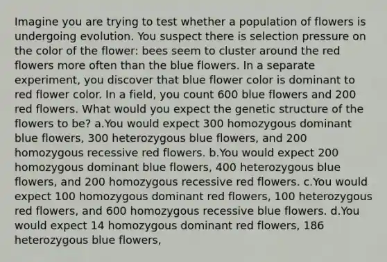 Imagine you are trying to test whether a population of flowers is undergoing evolution. You suspect there is selection pressure on the color of the flower: bees seem to cluster around the red flowers more often than the blue flowers. In a separate experiment, you discover that blue flower color is dominant to red flower color. In a field, you count 600 blue flowers and 200 red flowers. What would you expect the genetic structure of the flowers to be? a.You would expect 300 homozygous dominant blue flowers, 300 heterozygous blue flowers, and 200 homozygous recessive red flowers. b.You would expect 200 homozygous dominant blue flowers, 400 heterozygous blue flowers, and 200 homozygous recessive red flowers. c.You would expect 100 homozygous dominant red flowers, 100 heterozygous red flowers, and 600 homozygous recessive blue flowers. d.You would expect 14 homozygous dominant red flowers, 186 heterozygous blue flowers,