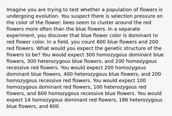 Imagine you are trying to test whether a population of flowers is undergoing evolution. You suspect there is selection pressure on the color of the flower: bees seem to cluster around the red flowers more often than the blue flowers. In a separate experiment, you discover that blue flower color is dominant to red flower color. In a field, you count 600 blue flowers and 200 red flowers. What would you expect the genetic structure of the flowers to be? You would expect 300 homozygous dominant blue flowers, 300 heterozygous blue flowers, and 200 homozygous recessive red flowers. You would expect 200 homozygous dominant blue flowers, 400 heterozygous blue flowers, and 200 homozygous recessive red flowers. You would expect 100 homozygous dominant red flowers, 100 heterozygous red flowers, and 600 homozygous recessive blue flowers. You would expect 14 homozygous dominant red flowers, 186 heterozygous blue flowers, and 600