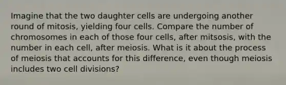 Imagine that the two daughter cells are undergoing another round of mitosis, yielding four cells. Compare the number of chromosomes in each of those four cells, after mitsosis, with the number in each cell, after meiosis. What is it about the process of meiosis tha<a href='https://www.questionai.com/knowledge/k7x83BRk9p-t-accounts' class='anchor-knowledge'>t accounts</a> for this difference, even though meiosis includes two <a href='https://www.questionai.com/knowledge/kjHVAH8Me4-cell-division' class='anchor-knowledge'>cell division</a>s?