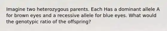 Imagine two heterozygous parents. Each Has a dominant allele A for brown eyes and a recessive allele for blue eyes. What would the genotypic ratio of the offspring?