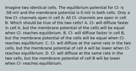 Imagine two identical cells. The equilibrium potential for Cl- is -58 mV and the membrane potential is 0 mV in both cells. Only a few Cl- channels open in cell A. All Cl- channels are open in cell B. Which should be true of the two cells? A. Cl- will diffuse faster in cell A, but the membrane potential of the cells will be equal when Cl- reaches equilibrium. B. Cl- will diffuse faster in cell B, but the membrane potential of the cells will be equal when Cl- reaches equilibrium. C. Cl- will diffuse at the same rate in the two cells, but the membrane potential of cell A will be lower when Cl- reaches equilibrium. D. Cl- will diffuse at the same rate in the two cells, but the membrane potential of cell B will be lower when Cl- reaches equilibrium.