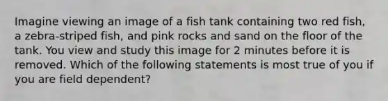 Imagine viewing an image of a fish tank containing two red fish, a zebra-striped fish, and pink rocks and sand on the floor of the tank. You view and study this image for 2 minutes before it is removed. Which of the following statements is most true of you if you are field dependent?