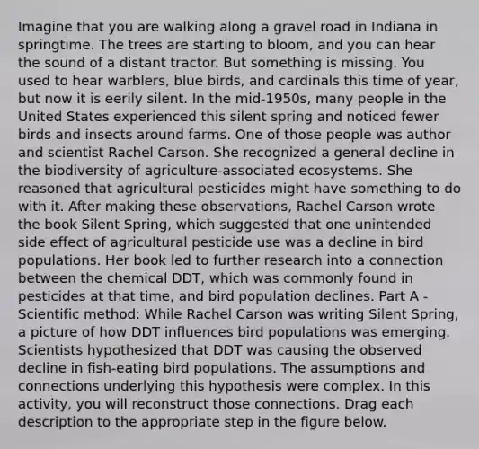 Imagine that you are walking along a gravel road in Indiana in springtime. The trees are starting to bloom, and you can hear the sound of a distant tractor. But something is missing. You used to hear warblers, blue birds, and cardinals this time of year, but now it is eerily silent. In the mid-1950s, many people in the United States experienced this silent spring and noticed fewer birds and insects around farms. One of those people was author and scientist Rachel Carson. She recognized a general decline in the biodiversity of agriculture-associated ecosystems. She reasoned that agricultural pesticides might have something to do with it. After making these observations, Rachel Carson wrote the book Silent Spring, which suggested that one unintended side effect of agricultural pesticide use was a decline in bird populations. Her book led to further research into a connection between the chemical DDT, which was commonly found in pesticides at that time, and bird population declines. Part A - <a href='https://www.questionai.com/knowledge/kbyVEgDMow-scientific-method' class='anchor-knowledge'>scientific method</a>: While Rachel Carson was writing Silent Spring, a picture of how DDT influences bird populations was emerging. Scientists hypothesized that DDT was causing the observed decline in fish-eating bird populations. The assumptions and connections underlying this hypothesis were complex. In this activity, you will reconstruct those connections. Drag each description to the appropriate step in the figure below.