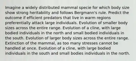 Imagine a widely distributed mammal specie for which body size show strong heritability and follows Bergmann's rule. Predict the outcome if efficient predators that live in warm regions preferentially attack large individuals. Evolution of smaller body sizes across the entire range. Evolution of a cline, with large bodied individuals in the north and small bodied individuals in the south. Evolution of larger body sizes across the entire range. Extinction of the mammal, as too many stresses cannot be handled at once. Evolution of a cline, with large bodied individuals in the south and small bodies individuals in the north.