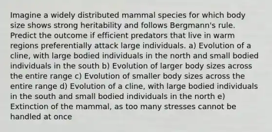 Imagine a widely distributed mammal species for which body size shows strong heritability and follows Bergmann's rule. Predict the outcome if efficient predators that live in warm regions preferentially attack large individuals. a) Evolution of a cline, with large bodied individuals in the north and small bodied individuals in the south b) Evolution of larger body sizes across the entire range c) Evolution of smaller body sizes across the entire range d) Evolution of a cline, with large bodied individuals in the south and small bodied individuals in the north e) Extinction of the mammal, as too many stresses cannot be handled at once