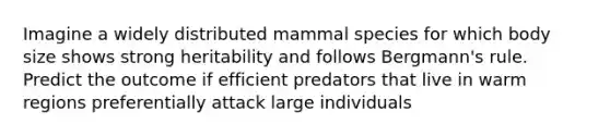 Imagine a widely distributed mammal species for which body size shows strong heritability and follows Bergmann's rule. Predict the outcome if efficient predators that live in warm regions preferentially attack large individuals