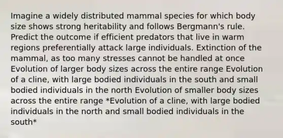 Imagine a widely distributed mammal species for which body size shows strong heritability and follows Bergmann's rule. Predict the outcome if efficient predators that live in warm regions preferentially attack large individuals. Extinction of the mammal, as too many stresses cannot be handled at once Evolution of larger body sizes across the entire range Evolution of a cline, with large bodied individuals in the south and small bodied individuals in the north Evolution of smaller body sizes across the entire range *Evolution of a cline, with large bodied individuals in the north and small bodied individuals in the south*