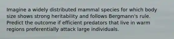 Imagine a widely distributed mammal species for which body size shows strong heritability and follows Bergmann's rule. Predict the outcome if efficient predators that live in warm regions preferentially attack large individuals.