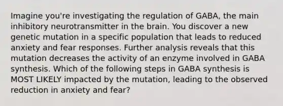 Imagine you're investigating the regulation of GABA, the main inhibitory neurotransmitter in the brain. You discover a new genetic mutation in a specific population that leads to reduced anxiety and fear responses. Further analysis reveals that this mutation decreases the activity of an enzyme involved in GABA synthesis. Which of the following steps in GABA synthesis is MOST LIKELY impacted by the mutation, leading to the observed reduction in anxiety and fear?