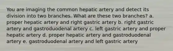 You are imaging the common hepatic artery and detect its division into two branches. What are these two branches? a. proper hepatic artery and right gastric artery b. right gastric artery and gastroduodenal artery c. left gastric artery and proper hepatic artery d. proper hepatic artery and gastroduodenal artery e. gastroduodenal artery and left gastric artery