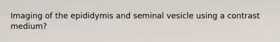 Imaging of the epididymis and seminal vesicle using a contrast medium?