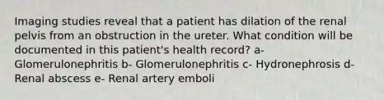 Imaging studies reveal that a patient has dilation of the renal pelvis from an obstruction in the ureter. What condition will be documented in this patient's health record? a- Glomerulonephritis b- Glomerulonephritis c- Hydronephrosis d- Renal abscess e- Renal artery emboli