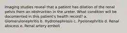 Imaging studies reveal that a patient has dilation of the renal pelvis from an obstruction in the ureter. What condition will be documented in this patient's health record? a. Glomerulonephritis b. Hydronephrosis c. Pyelonephritis d. Renal abscess e. Renal artery emboli