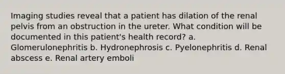 Imaging studies reveal that a patient has dilation of the renal pelvis from an obstruction in the ureter. What condition will be documented in this patient's health record? a. Glomerulonephritis b. Hydronephrosis c. Pyelonephritis d. Renal abscess e. Renal artery emboli