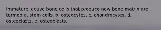 Immature, active bone cells that produce new bone matrix are termed a. stem cells. b. osteocytes. c. chondrocytes. d. osteoclasts. e. osteoblasts.