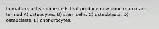 Immature, active bone cells that produce new bone matrix are termed A) osteocytes. B) stem cells. C) osteoblasts. D) osteoclasts. E) chondrocytes.