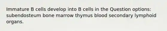 Immature B cells develop into B cells in the Question options: subendosteum bone marrow thymus blood secondary lymphoid organs.