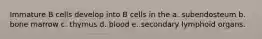 Immature B cells develop into B cells in the a. subendosteum b. bone marrow c. thymus d. blood e. secondary lymphoid organs.