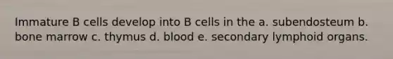 Immature B cells develop into B cells in the a. subendosteum b. bone marrow c. thymus d. blood e. secondary lymphoid organs.