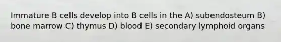 Immature B cells develop into B cells in the A) subendosteum B) bone marrow C) thymus D) blood E) secondary lymphoid organs