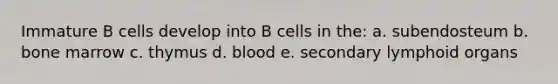 Immature B cells develop into B cells in the: a. subendosteum b. bone marrow c. thymus d. blood e. secondary lymphoid organs