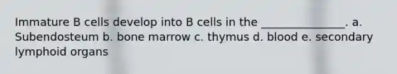 Immature B cells develop into B cells in the _______________. a. Subendosteum b. bone marrow c. thymus d. blood e. secondary lymphoid organs