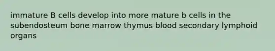 immature B cells develop into more mature b cells in the subendosteum bone marrow thymus blood secondary lymphoid organs