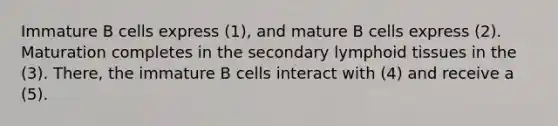 Immature B cells express (1), and mature B cells express (2). Maturation completes in the secondary lymphoid tissues in the (3). There, the immature B cells interact with (4) and receive a (5).