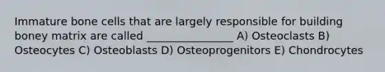 Immature bone cells that are largely responsible for building boney matrix are called ________________ A) Osteoclasts B) Osteocytes C) Osteoblasts D) Osteoprogenitors E) Chondrocytes