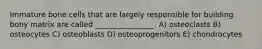 Immature bone cells that are largely responsible for building bony matrix are called ________________. A) osteoclasts B) osteocytes C) osteoblasts D) osteoprogenitors E) chondrocytes