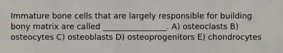 Immature bone cells that are largely responsible for building bony matrix are called ________________. A) osteoclasts B) osteocytes C) osteoblasts D) osteoprogenitors E) chondrocytes