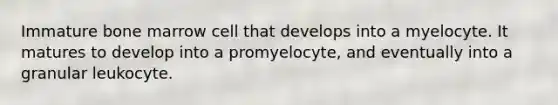 Immature bone marrow cell that develops into a myelocyte. It matures to develop into a promyelocyte, and eventually into a granular leukocyte.