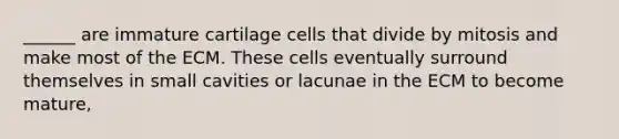 ______ are immature cartilage cells that divide by mitosis and make most of the ECM. These cells eventually surround themselves in small cavities or lacunae in the ECM to become mature,