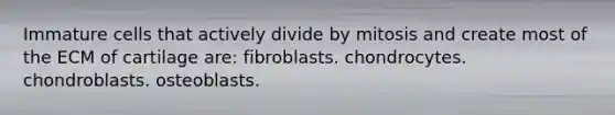 Immature cells that actively divide by mitosis and create most of the ECM of cartilage are: fibroblasts. chondrocytes. chondroblasts. osteoblasts.