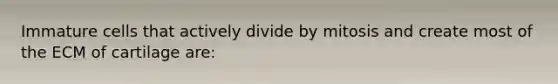 Immature cells that actively divide by mitosis and create most of the ECM of cartilage are: