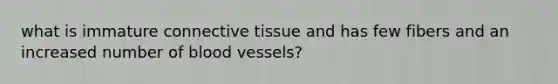 what is immature connective tissue and has few fibers and an increased number of blood vessels?