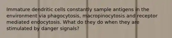 Immature dendritic cells constantly sample antigens in the environment via phagocytosis, macropinocytosis and receptor mediated endocytosis. What do they do when they are stimulated by danger signals?