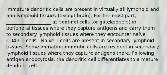 Immature dendritic cells are present in virtually all lymphoid and non lymphoid tissues (except brain). For the most part, ___________________ as sentinel cells (or gatekeepers) in peripheral tissues where they capture antigens and carry them to secondary lymphoid tissues where they encounter naïve CD4+ T cells . Naïve T cells are present in secondary lymphoid tissues. Some immature dendritic cells are resident in secondary lymphoid tissues where they capture antigens there. Following antigen endocytosis, the dendritic cell differentiates to a mature dendritic cell.