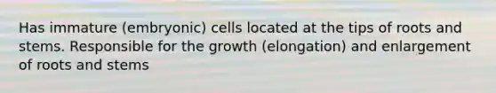 Has immature (embryonic) cells located at the tips of roots and stems. Responsible for the growth (elongation) and enlargement of roots and stems