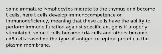 some immature lymphocytes migrate to the thymus and become t cells. here t cells develop immunocompetence or immunodeficiency, meaning that these cells have the ability to perform immune function against specific antigens if properly stimulated. some t cells become cd4 cells and others become cd8 cells based on the type of antigen reception protein in the plasma membrane.