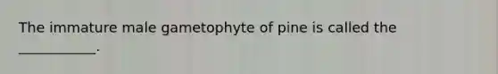 The immature male gametophyte of pine is called the ___________.