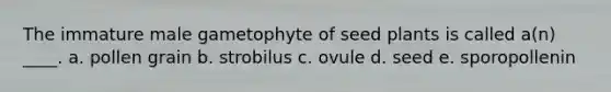 The immature male gametophyte of seed plants is called a(n) ____. a. pollen grain b. strobilus c. ovule d. seed e. sporopollenin