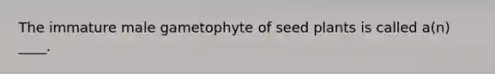 ​The immature male gametophyte of seed plants is called a(n) ____.