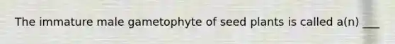 The immature male gametophyte of seed plants is called a(n) ___